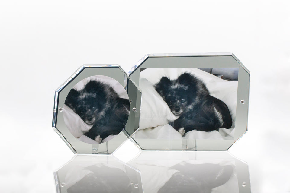 Alexandra Von Furstenberg Acrylic Bolt Hexagon Snap Picture Frame in Slate grey for home or office decor showing 5x5 and 5x7 frame sizes with picture of dog