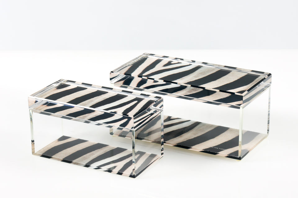 Treasure Box in Zebra Print