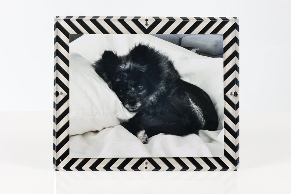 Snap Frame in X Print 8x10