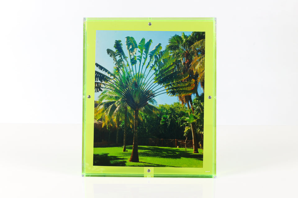 Snap Frame in Green 8x10