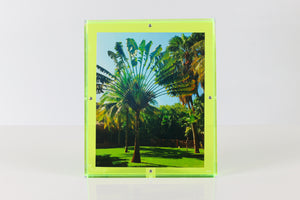 Snap Frame in Green 8x10