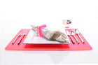 Rectangle Placemat Set of 4 in Pink