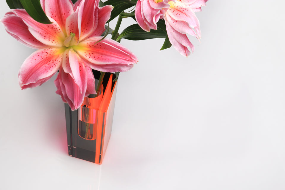 Eclipse Vase in Pink - Limited Edition